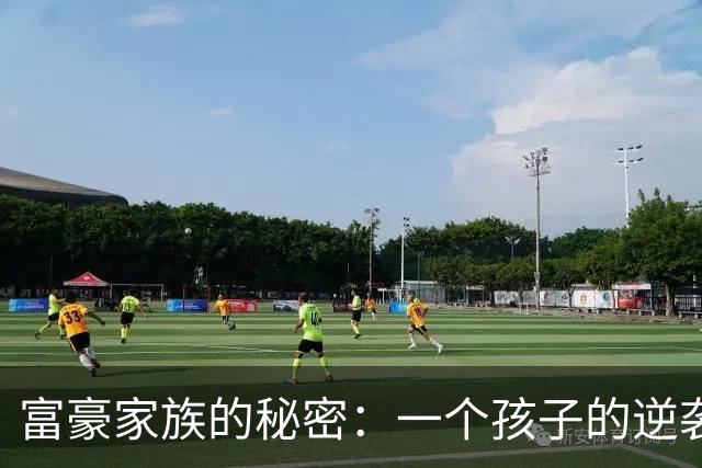富豪家族的秘密：一个孩子的逆袭与生存之道